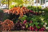 Légumes plein champs de Bernadette Lacroix