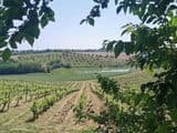 Balade gustative sur les coteaux