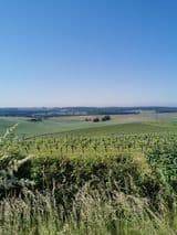 Commune de Leyritz-Moncassin