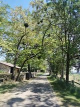 Commune de Guérin