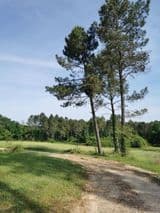 Au cœur de Campet, forêt domaniale du département