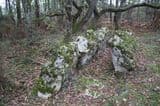 Dolmen de Lumé