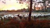 La Ferme d’Iska et Marina 
