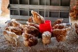 La Ferme de Marauli